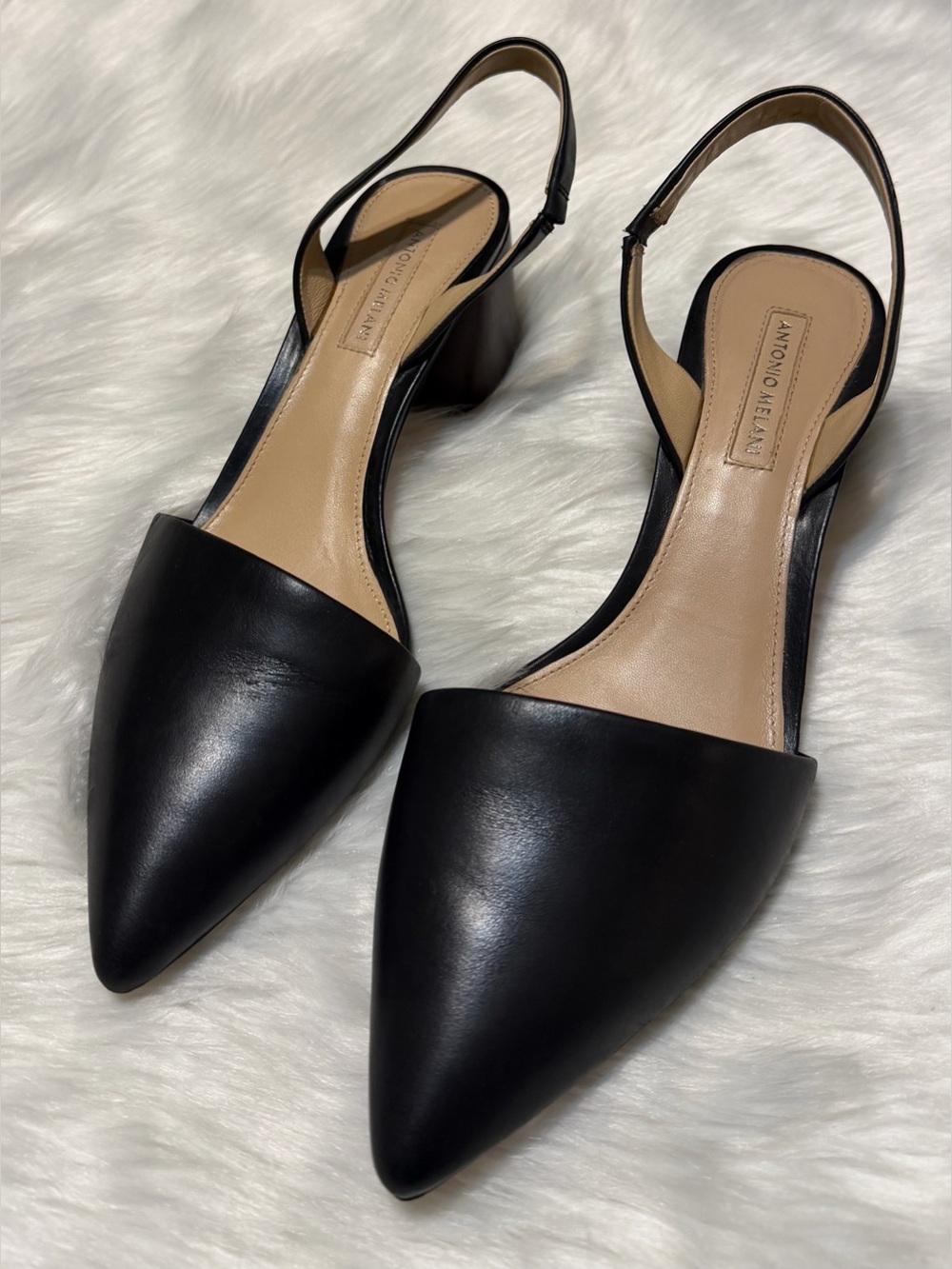 ANTONIO MELANI Klaudi Black Pointed Slingback Mules